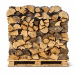 Eichen-Brennholz 30 cm – getrocknete Scheite