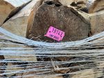 Eichen-Brennholz 30 cm – getrocknete Scheite – Bild 3