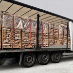 LKW-Ladung Brennholz – Hainbuche – 30/33 cm – kammergetrocknet – 1,8 RM Paletten